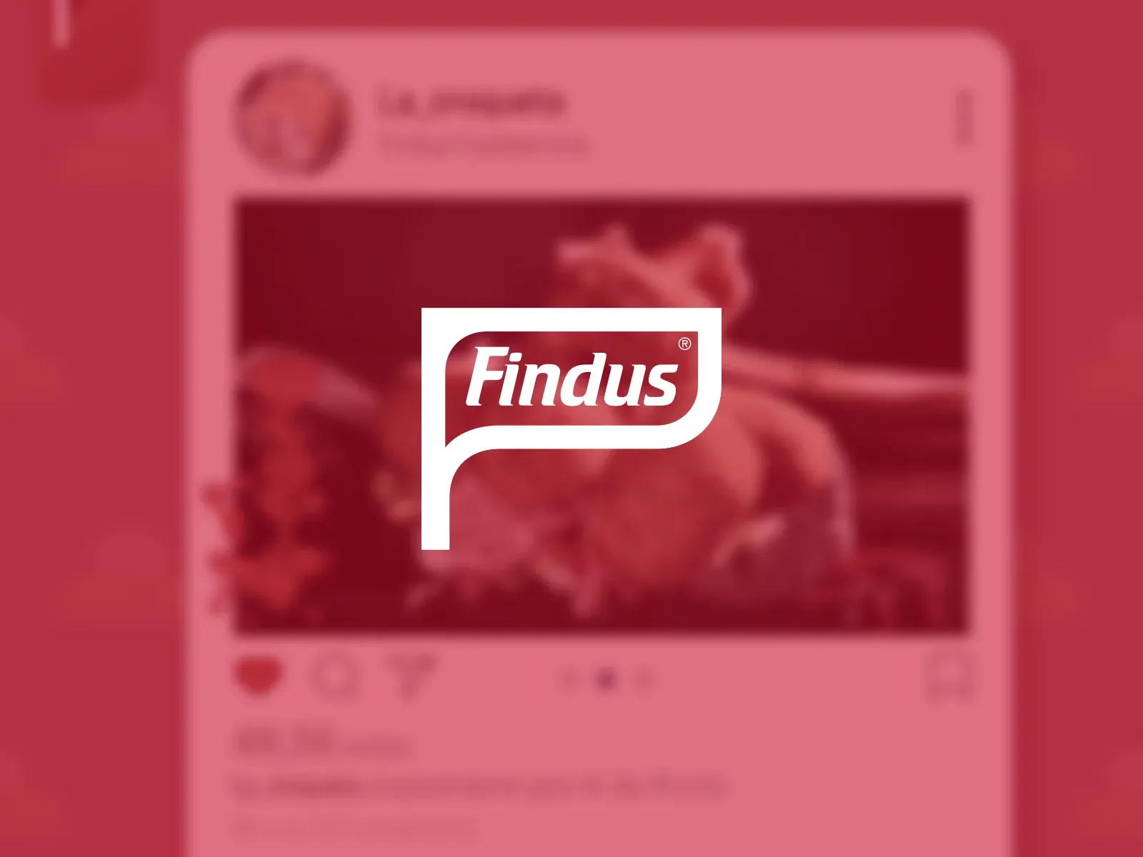 The Findus logo in white over a blurred Croquette Day post, in Findus red